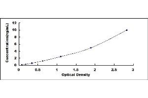 Typical standard curve (GFAP ELISA Kit)