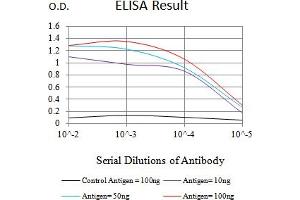 Black line: Control Antigen (100 ng),Purple line: Antigen (10 ng), Blue line: Antigen (50 ng), Red line:Antigen (100 ng) (SALL4 antibody  (AA 96-359))