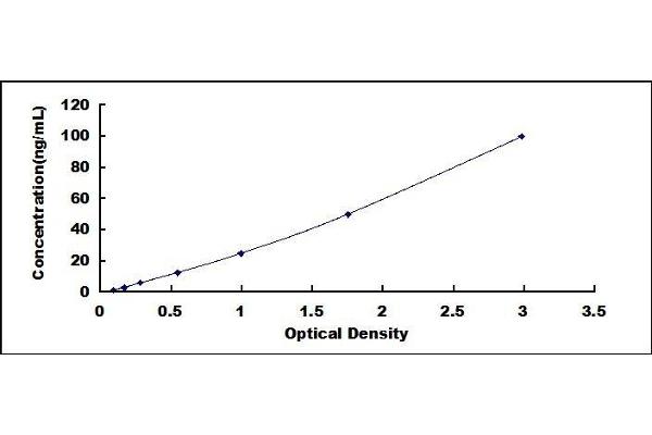 LMYC ELISA Kit