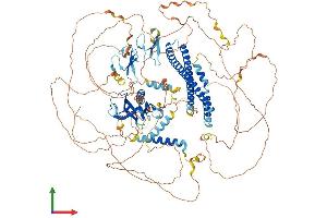 AlphaFold protein structure predicition of Mouse Recombinant Plekha7 Protein, UniprotID Q3UIL6 (PLEKHA7 Protein (AA 1-1118) (His tag))