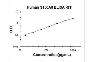 Human S100A8 PicoKine ELISA Kit standard curve
