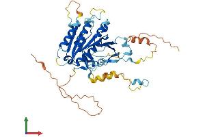 AlphaFold protein structure predicition of Mouse Recombinant Elp4 Protein, UniprotID Q9ER73 (ELP4 Protein (AA 1-422) (His tag))