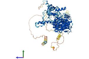 AlphaFold protein structure predicition of Mouse Recombinant Chsy1 Protein, UniprotID Q6ZQ11