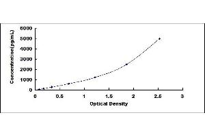 Typical standard curve (SYN2 ELISA Kit)