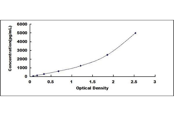 SYN2 ELISA Kit