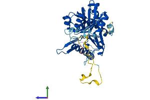 AlphaFold protein structure predicition of Human Recombinant PRPSAP1 Protein, UniprotID Q14558 (PRPSAP1 Protein (AA 1-356) (His tag))