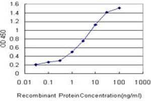 Detection limit for recombinant GST tagged PDK2 is approximately 0. (PDK2 antibody  (AA 187-276))