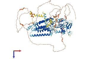RHBDF2 Protein (AA 1-856) (His tag)