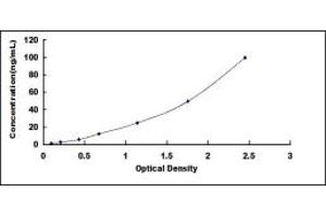 Typical standard curve (HSP70 1A ELISA Kit)