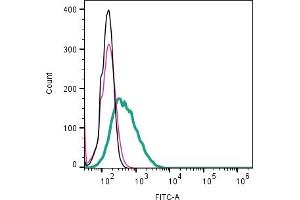 Cell surface detection of CD81 by direct flow cytometry in live intact human Raji lymphoblast B-cell line: + Rabbit IgG Isotype Control-FITC (ABIN7582044). (CD81 antibody  (Extracellular) (FITC))