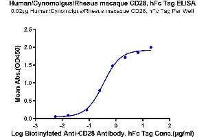 ELISA image for CD28 (CD28) (AA 19-152) protein (Fc Tag) (ABIN7274251)