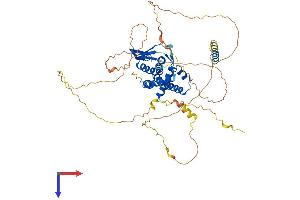 AlphaFold protein structure predicition of Human Recombinant CCDC82 Protein, UniprotID Q8N4S0 (CCDC82 Protein (AA 1-544) (His tag))