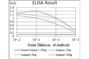 Red: Control Antigen (100ng) ; Purple: Antigen (10ng) ; Green: Antigen (50ng) ; Blue: Antigen (100ng). (IL3RA antibody  (AA 200-305))
