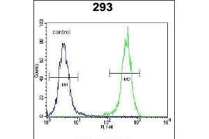 Flow cytometric analysis of 293 cells (right histogram) compared to a negative control cell (left histogram). (OTUD6B antibody  (C-Term))