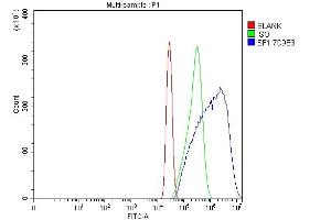 Flow Cytometry analysis of Neuro-2a cells using anti-splicing factor 1 antibody (ABIN7600194). (Splicing Factor 1 antibody  (AA 160-266))