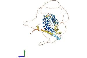 AlphaFold protein structure predicition of Human Recombinant ANKS6 Protein, UniprotID Q68DC2 (ANKS6 Protein (AA 1-871) (His tag))