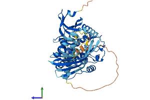 Protein Structure (PS) image for Calcium/calmodulin-Dependent Protein Kinase II alpha (CAMK2A) (AA 1-478) protein (His tag) (ABIN7562842)