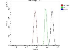 Flow Cytometry analysis of RH35 cells using anti-ARF6 antibody (ABIN7602413). (ARF6 antibody  (AA 75-175))