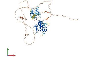 AlphaFold protein structure predicition of Human Recombinant ETS1 Protein, UniprotID P14921 (ETS1 Protein (AA 1-441) (His tag))