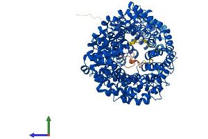 Protein Structure (PS) image for Transportin 1 (TNPO1) (AA 1-898) protein (His tag) (ABIN7564325)