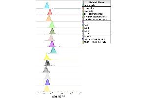 anti-Chemokine (C-C Motif) Receptor 5 (CCR5) (AA 1-22) antibody (PE)