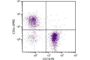 BALB/c mouse splenocytes were stained with Hamster Anti-Mouse CD3ε-SPRD. (CD3 epsilon antibody  (SPRD))