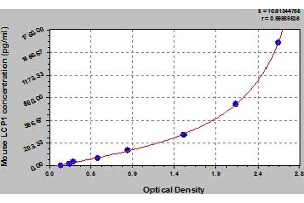 LCP1 ELISA Kit