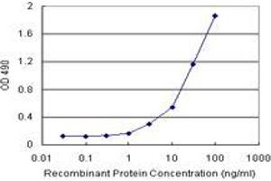 Sandwich ELISA detection sensitivity ranging from 1 ng/mL to 100 ng/mL. (ABCC10 (Human) Matched Antibody Pair)