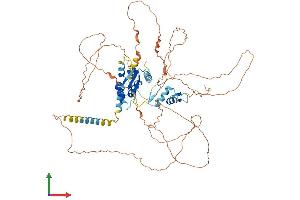 AlphaFold protein structure predicition of Human Recombinant ZBTB5 Protein, UniprotID O15062 (ZBTB5 Protein (AA 1-677) (His tag))