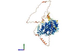 AlphaFold protein structure predicition of Human Recombinant LINS1 Protein, UniprotID Q8NG48 (LINS Protein (AA 1-757) (His tag))