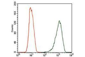 Flow cytometric analysis of MCF-7 cells using NOS2 mouse mAb (green) and negative control (red). (NOS2 antibody)