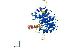 AlphaFold protein structure predicition of Human Recombinant METTL21EP Protein, UniprotID A6NDL7 (METTL21EP Protein (AA 1-271) (His tag))
