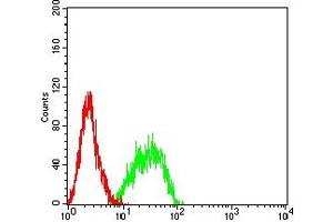Flow Cytometry (FACS) image for anti-Protein tyrosine Phosphatase, Receptor Type, C (PTPRC) (AA 378-577) antibody (ABIN7193646)