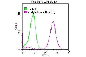 Flow Cytometry (FACS) image for anti-Histone Cluster 1, H4a (HIST1H4A) (acLys16) antibody (ABIN7127270)