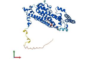 Protein Structure (PS) image for Tryptophan 2,3-Dioxygenase (TDO2) (AA 1-406) protein (His tag) (ABIN7544287)