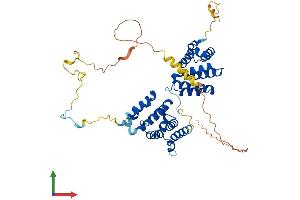 Protein Structure (PS) image for Programmed Cell Death 4 (PDCD4) (AA 1-469) protein (His tag) (ABIN7554917)