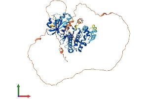 Protein Structure (PS) image for Mitogen-Activated Protein Kinase 15 (MAPK15) (AA 1-544) protein (His tag) (ABIN7549416)
