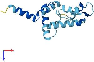 EF-Hand Calcium Binding Domain 10 (EFCAB10) (AA 1-132) protein (His tag)