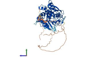 AlphaFold protein structure predicition of Mouse Recombinant Agbl4 Protein, UniprotID Q09LZ8 (AGBL4 Protein (AA 1-540) (His tag))
