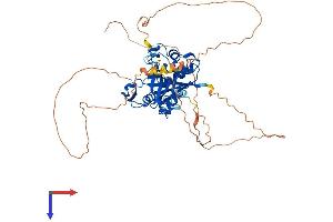 AlphaFold protein structure predicition of Mouse Recombinant Bivm Protein, UniprotID Q8CBX9 (BIVM Protein (AA 1-502) (His tag))