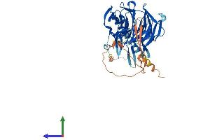 AlphaFold protein structure predicition of Human Recombinant KLHDC4 Protein, UniprotID Q8TBB5 (KLHDC4 Protein (AA 1-520) (His tag))