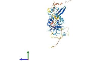 AlphaFold protein structure predicition of Human Recombinant TPGS2 Protein, UniprotID Q68CL5