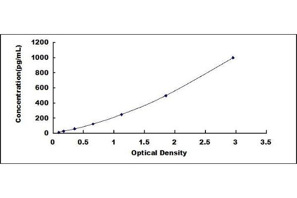 CXCL17 ELISA Kit