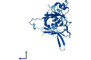 Protein Structure (PS) image for IMP4, U3 Small Nucleolar Ribonucleoprotein (IMP4) (AA 1-291) protein (His tag) (ABIN7548514)