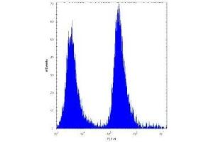 MGMT antibody flow cytometric analysis of 293 cells (right histogram) compared to a negative control (left histogram). (MGMT antibody  (AA 1-30))