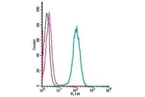 Cell surface detection of β3-Adrenergic Receptor by indirect flow cytometry in live intact human THP-1 monocytic leukemia cells: (black line) Cells. (ADRB3 antibody  (Cys186Ser-Mutant, Extracellular))