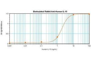 Image no. 1 for anti-Interleukin 13 (IL13) antibody (Biotin) (ABIN464961)