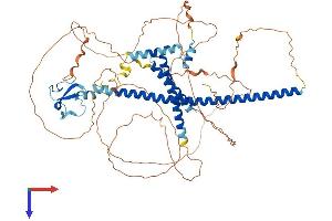 PHF21A Protein (AA 1-680) (His tag)