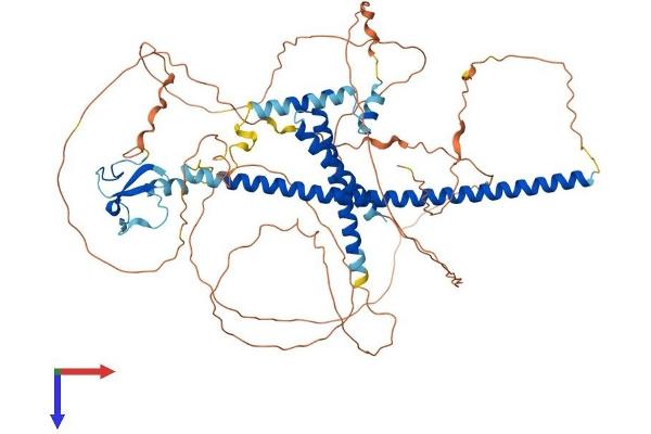 PHF21A Protein (AA 1-680) (His tag)