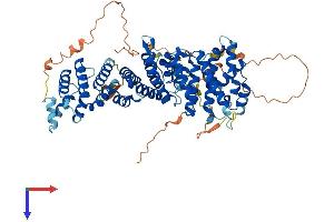 AlphaFold protein structure predicition of Human Recombinant RRN3 Protein, UniprotID Q9NYV6 (RRN3 Protein (AA 1-651) (His tag))